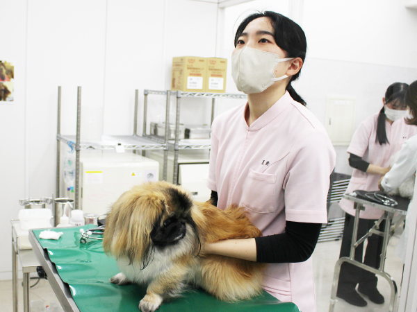 ☆最後の手術実習☆